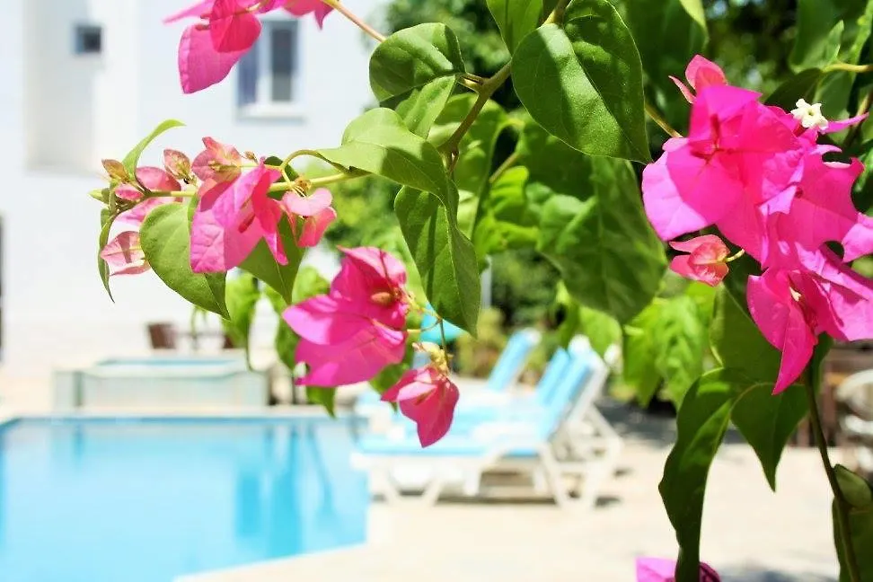 Parla Apart Hotel Çeşme Turkiet